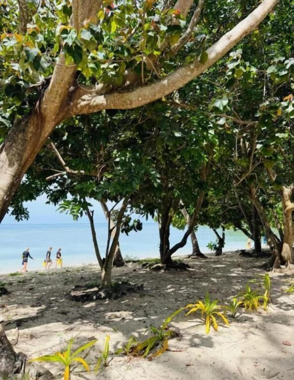 Private beach nearby, white sand, beach massages