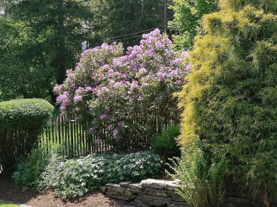 House | Garden