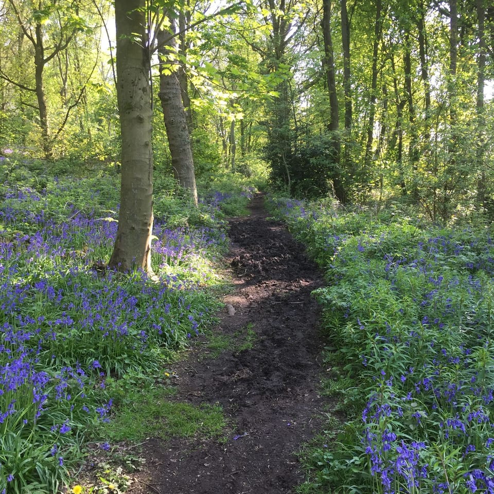 Take a stroll through glorious countryside.