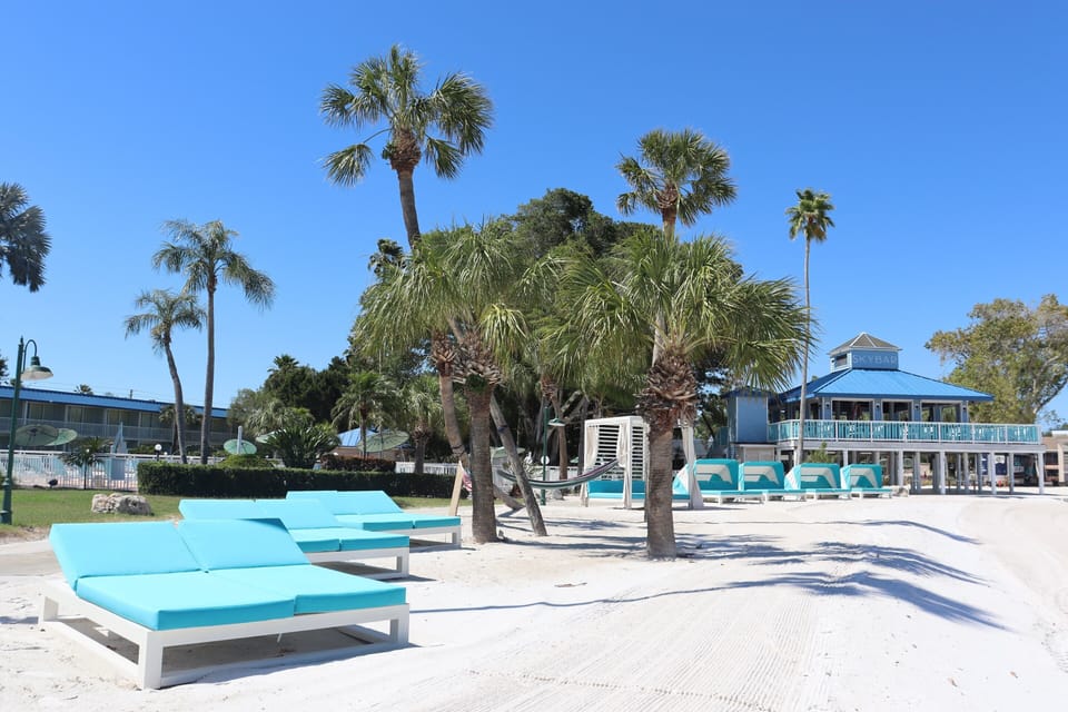 Breathe in tropical greenery beside the sparkling seaside pool.