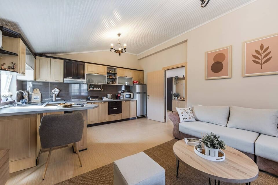 Fully-equipped kitchen and living area