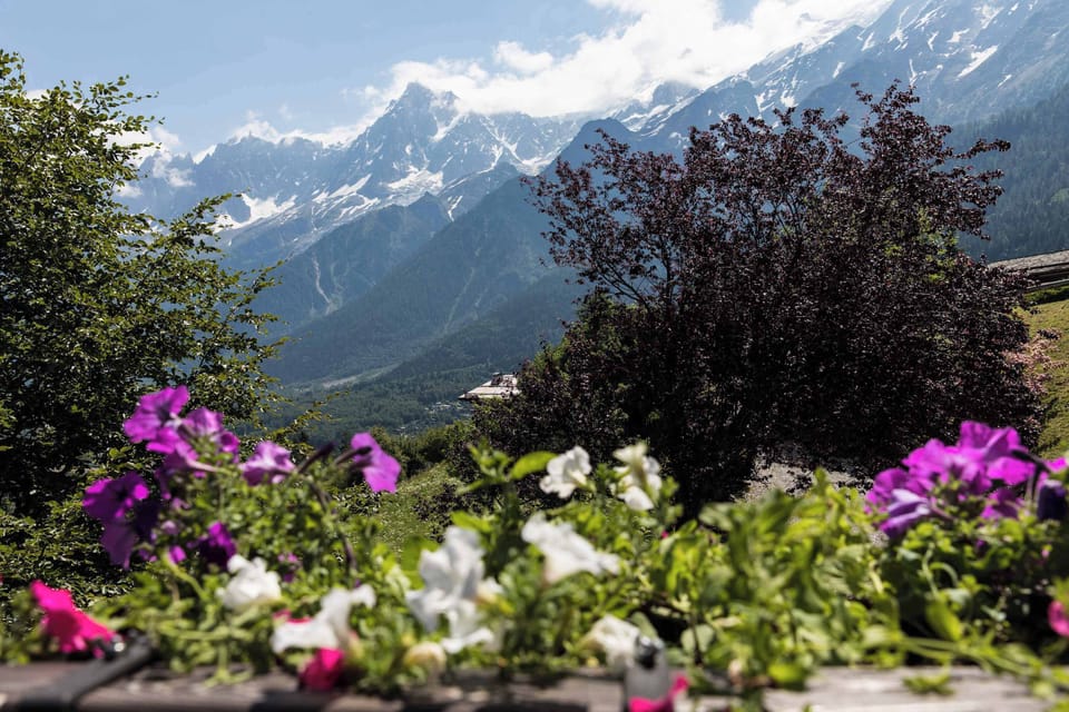 Views in summer