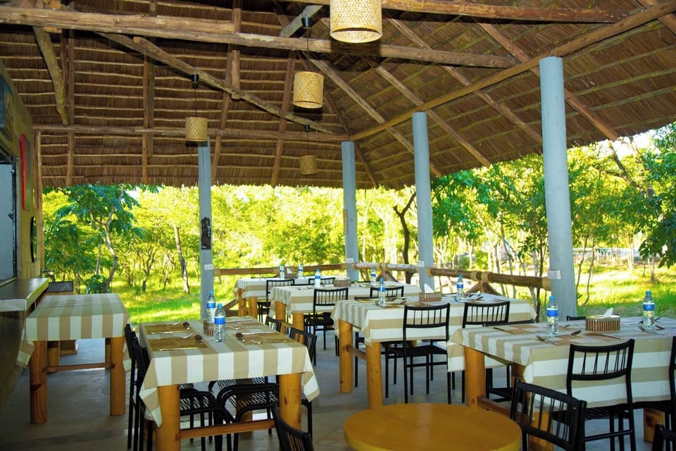 Deluxe Single Room, Park View | Outdoor dining