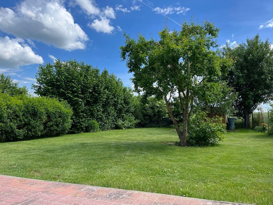 House | Garden