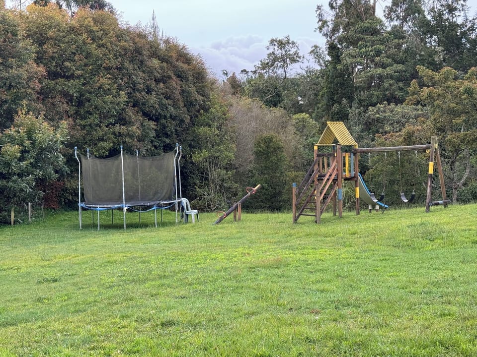 Children's area