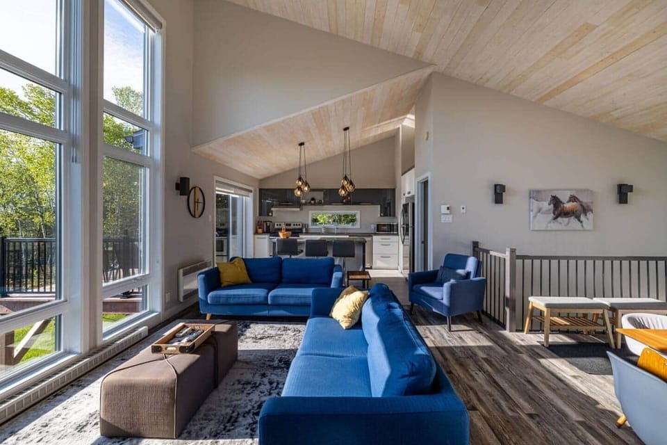 Living room and kitchen