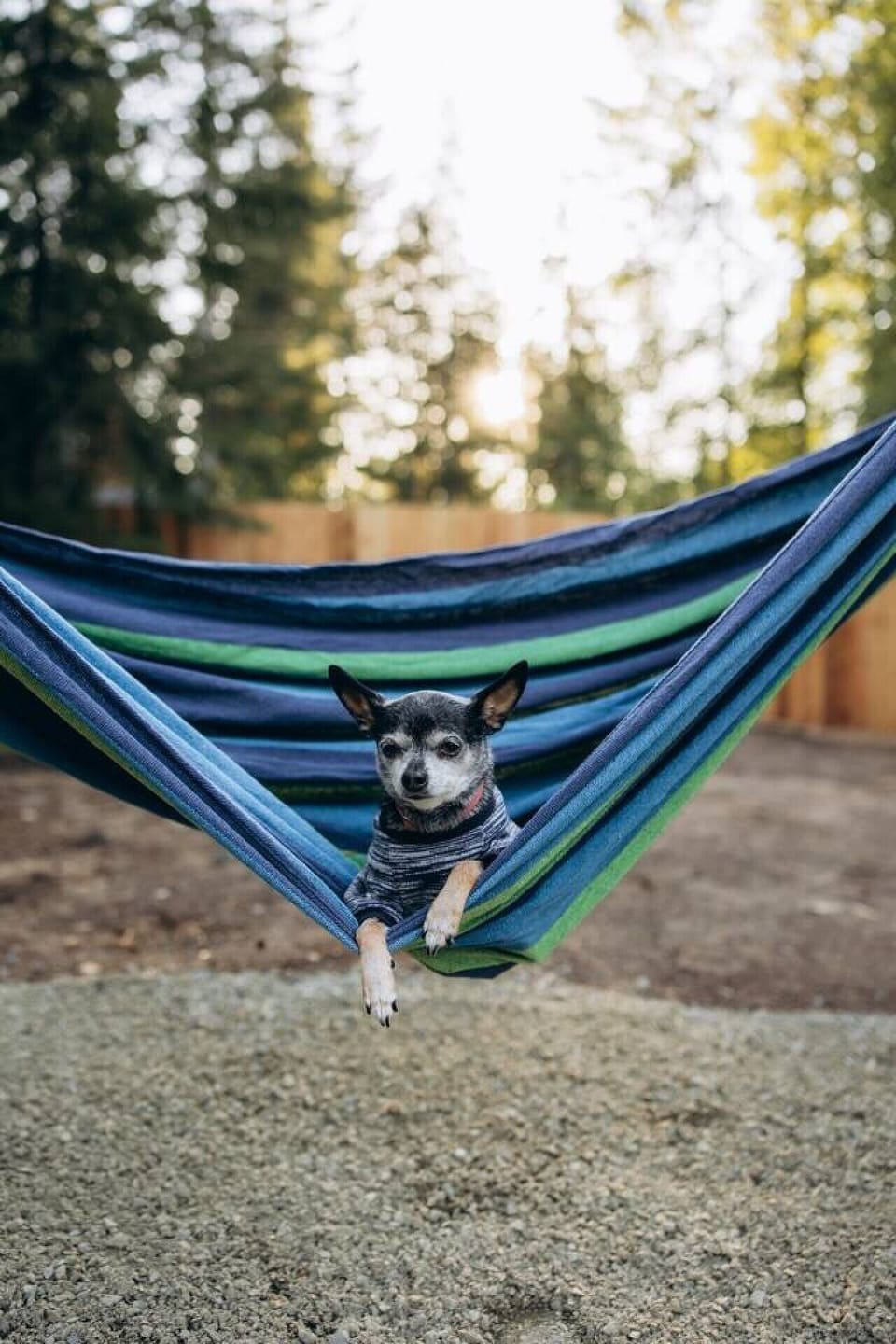 Pet-Friendly Stay: Bring your furry friend along and enjoy a relaxing cabin getaway together (1 pet max, under 50 lbs, pet fee applies).