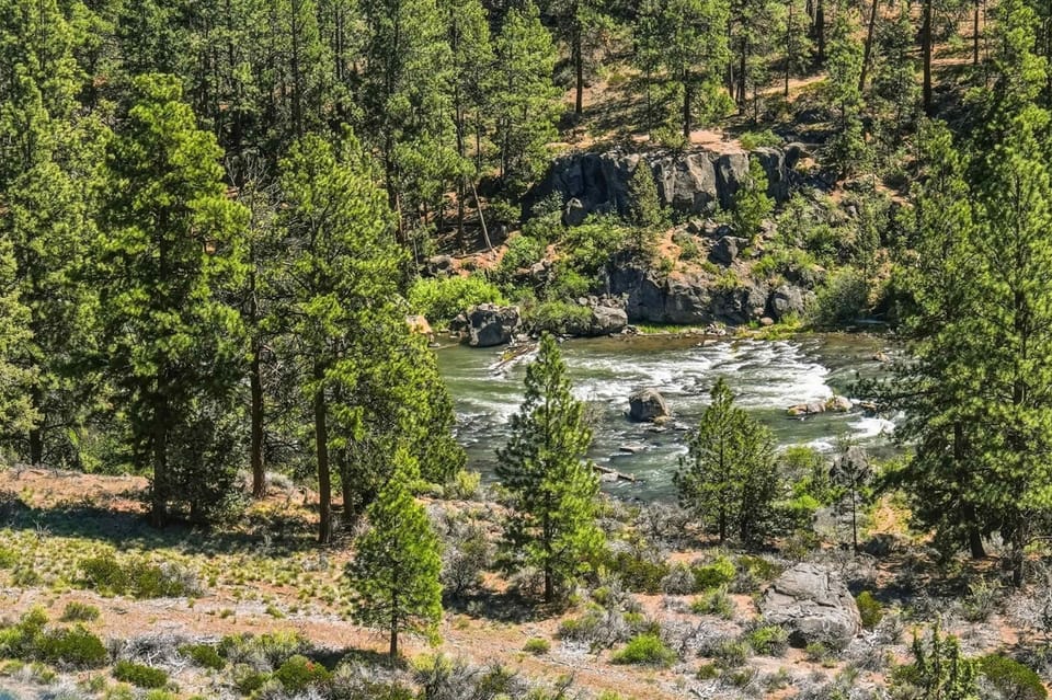 Studio, 1 Queen Bed, Pets Not Allowed, Mountain View (River RIdge B) | View from room