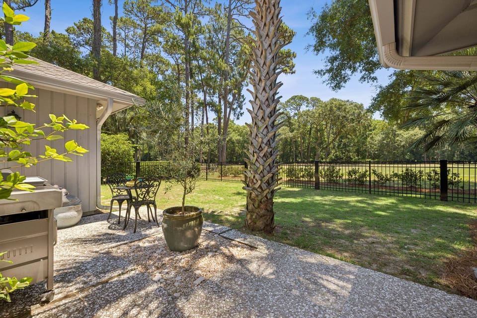Spacious fenced backyard, perfect for your dog!