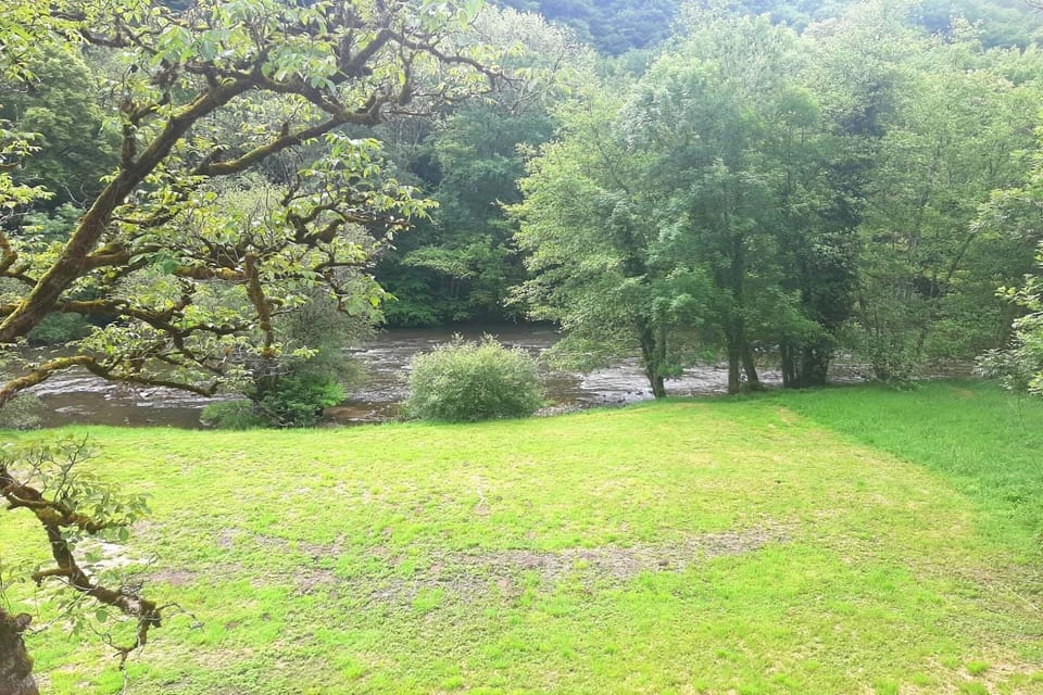 Garden [summer]