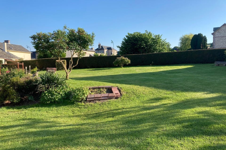 Garden [summer]