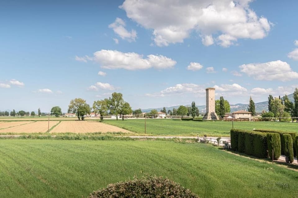 Classic Quadruple Room, Garden View | View from room