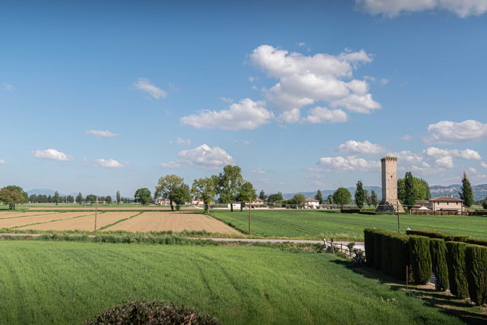 Standard Quadruple Room, Garden View | View from room