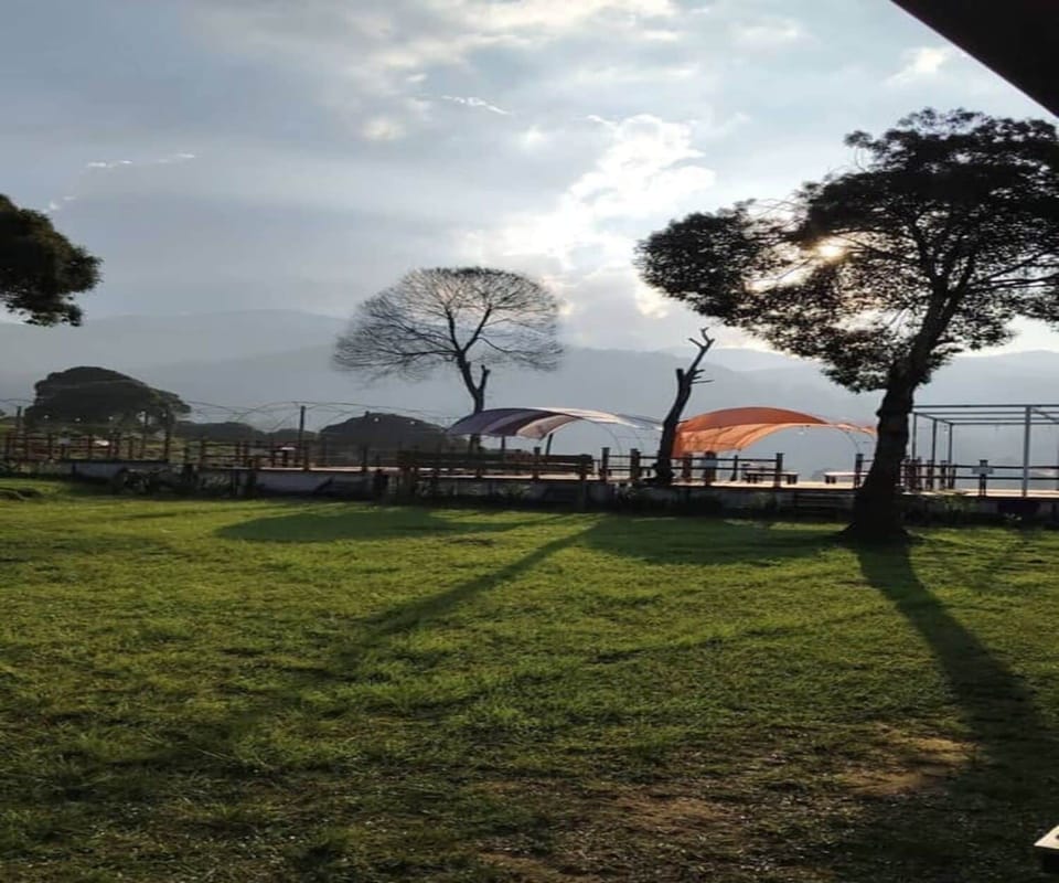 Tent | Terrace/patio