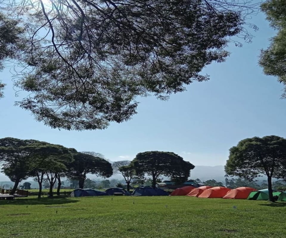 Tent | Miscellaneous
