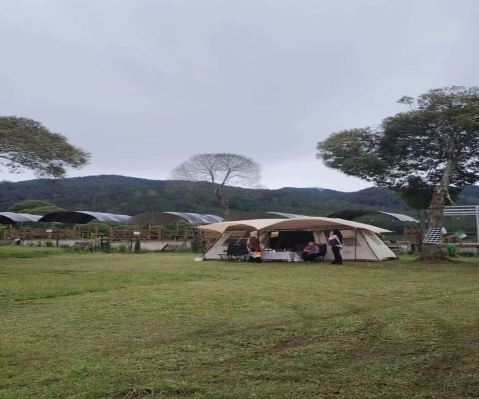 Tent | Property grounds