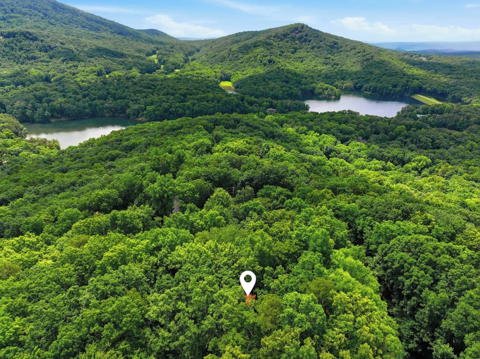 Aerial View​