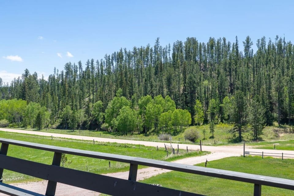Enjoy peaceful forest views and the quiet beauty of the Black Hills right from the deck.
