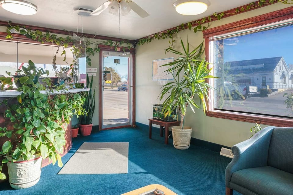 Entrance / Reception