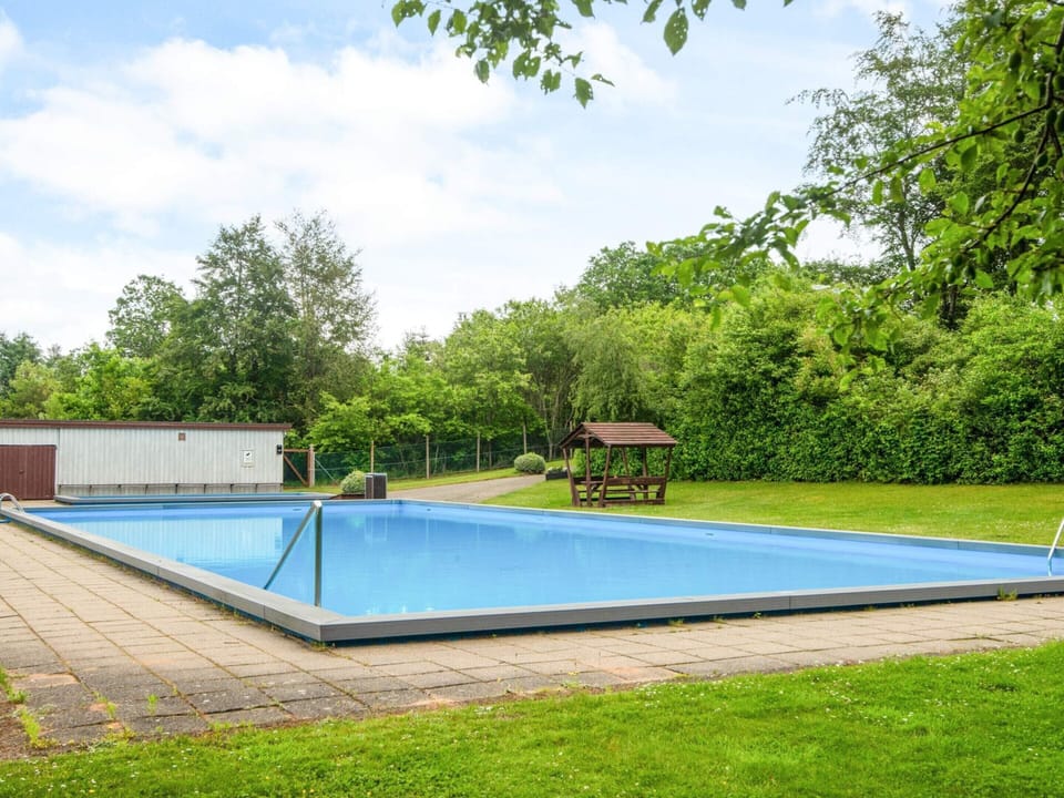 House | Pool | Outdoor pool