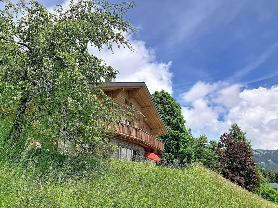 Tree, Grass, House, Shrub, Landscape, Rural Area, Cottage, Grassland, Land Lot