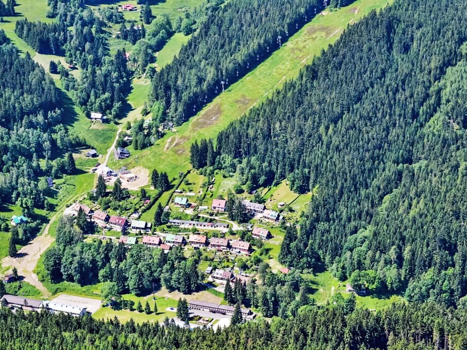 Tree, Aerial Photography, Bird'S-Eye View, Landscape, House, Rural Area, Forest, Village, Hill Station, Suburb