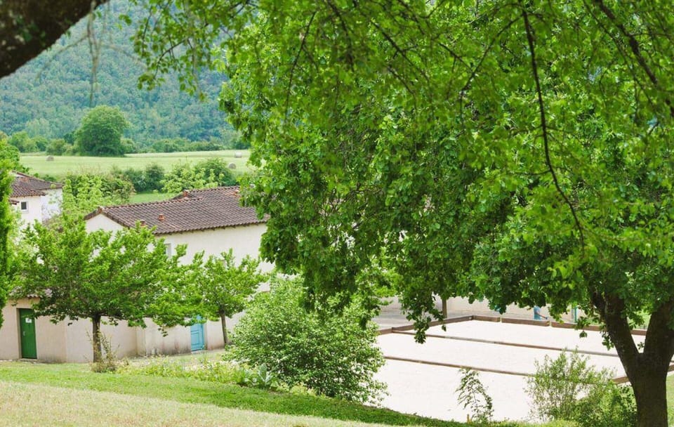 House | View from property