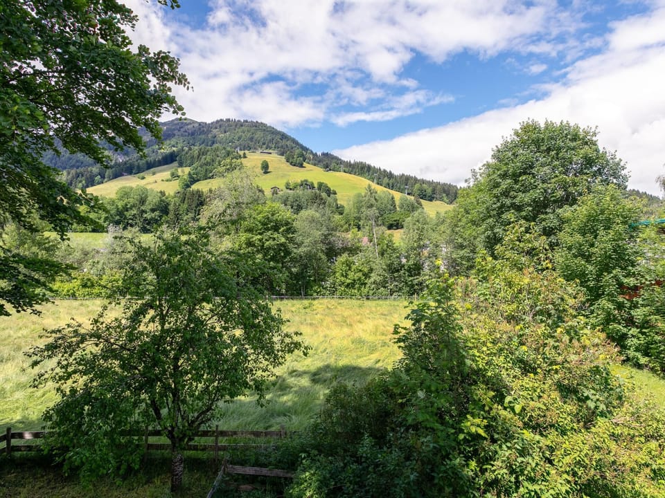 View from Holiday Home [summer]