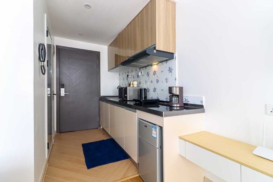 Classic Apartment, Balcony, City View | Private kitchen | Full-size fridge, microwave, oven, stovetop