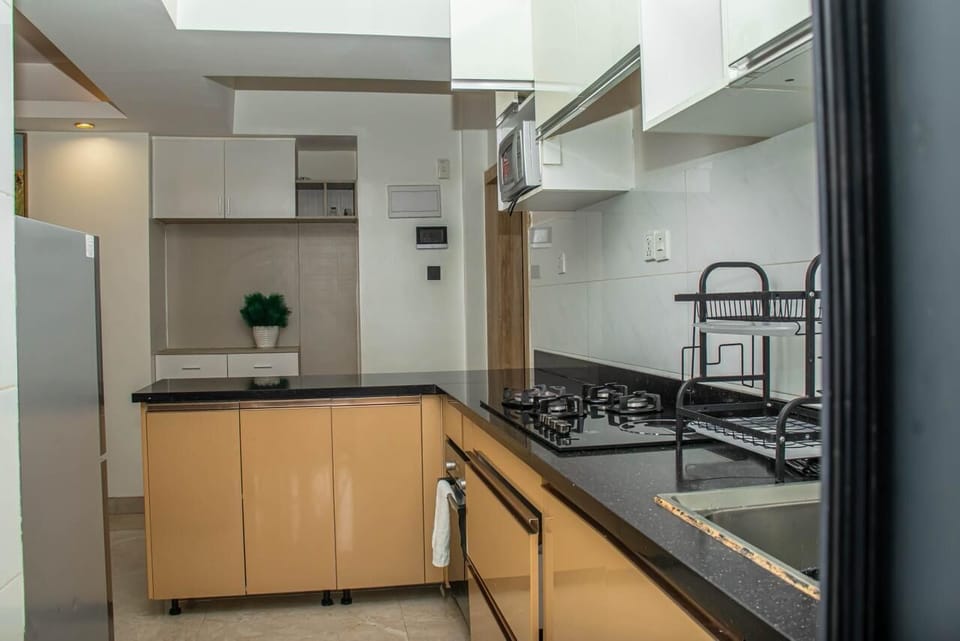 Classic Apartment, Balcony, City View | Private kitchen | Full-size fridge, microwave, oven, stovetop