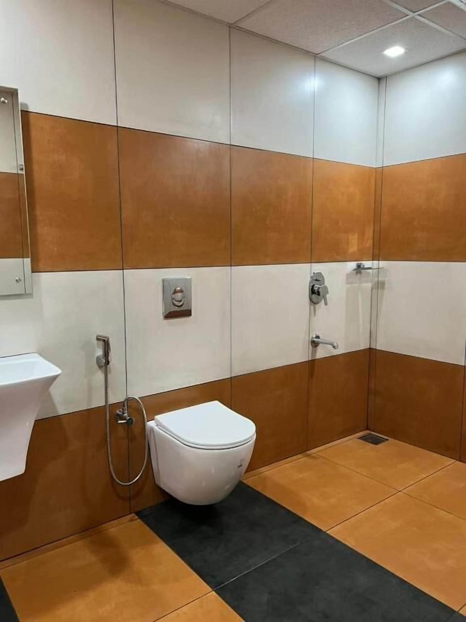 Shower, towels, soap, shampoo