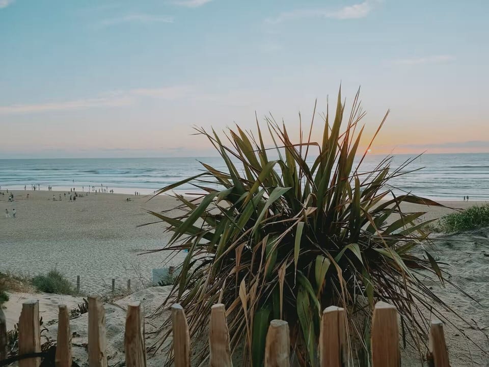 Beach