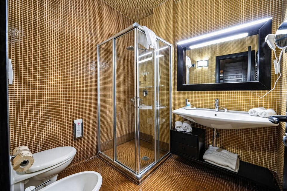 Shower, towels, toilet paper