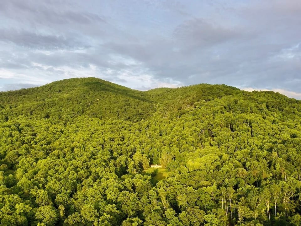 Surrounded by the Blue Ridge Mountains and endless forest, you'll find peace.