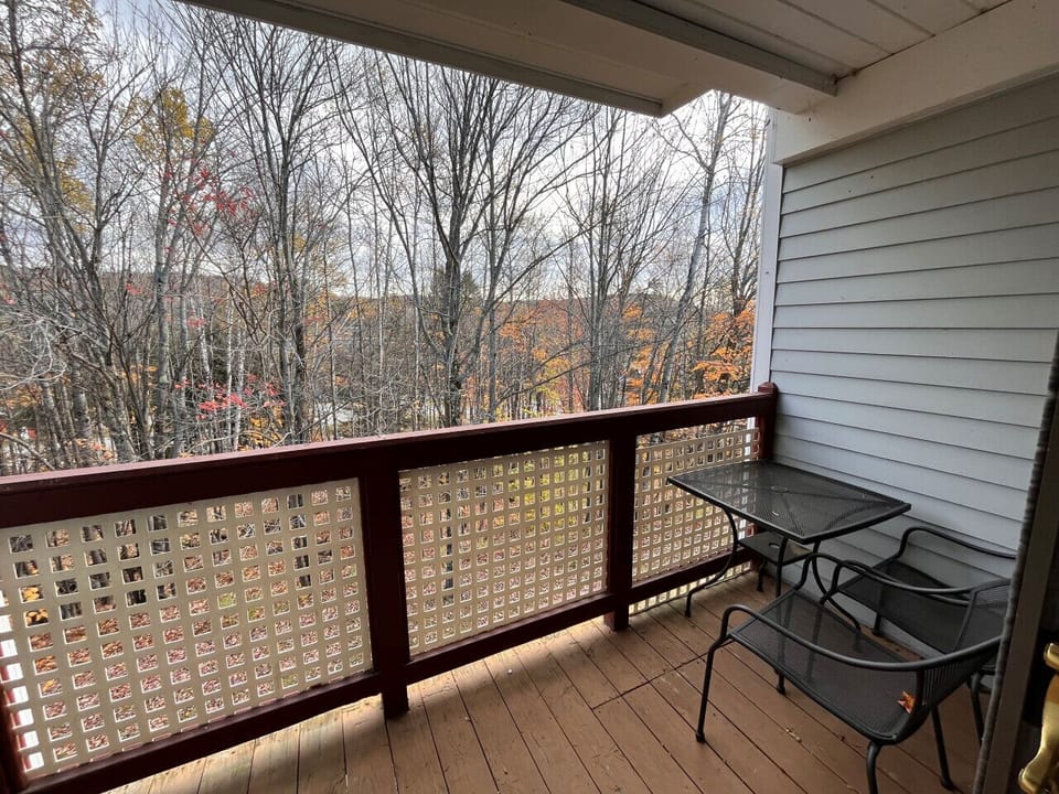 Patio off the dining room