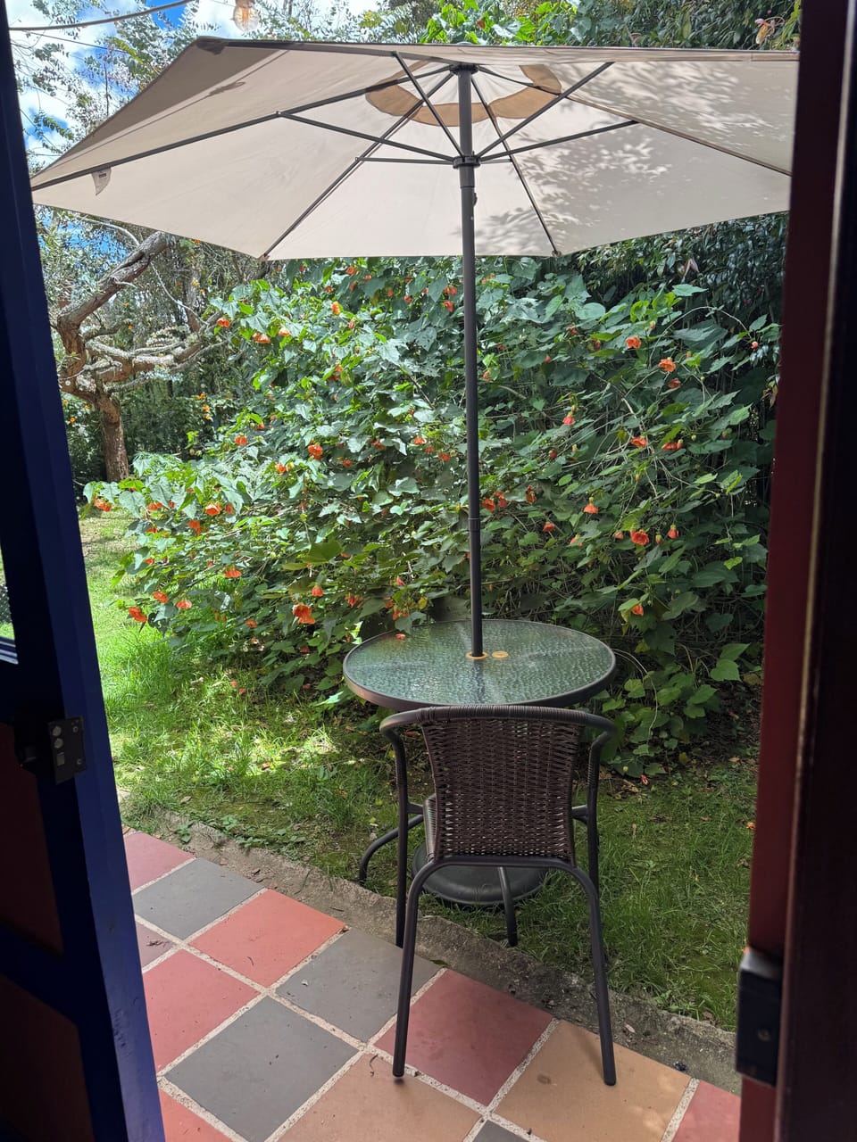 Terrace/patio