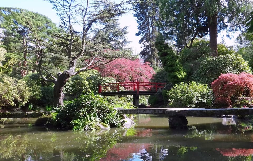 Peaceful garden pond with a charming red bridge and lush greenery