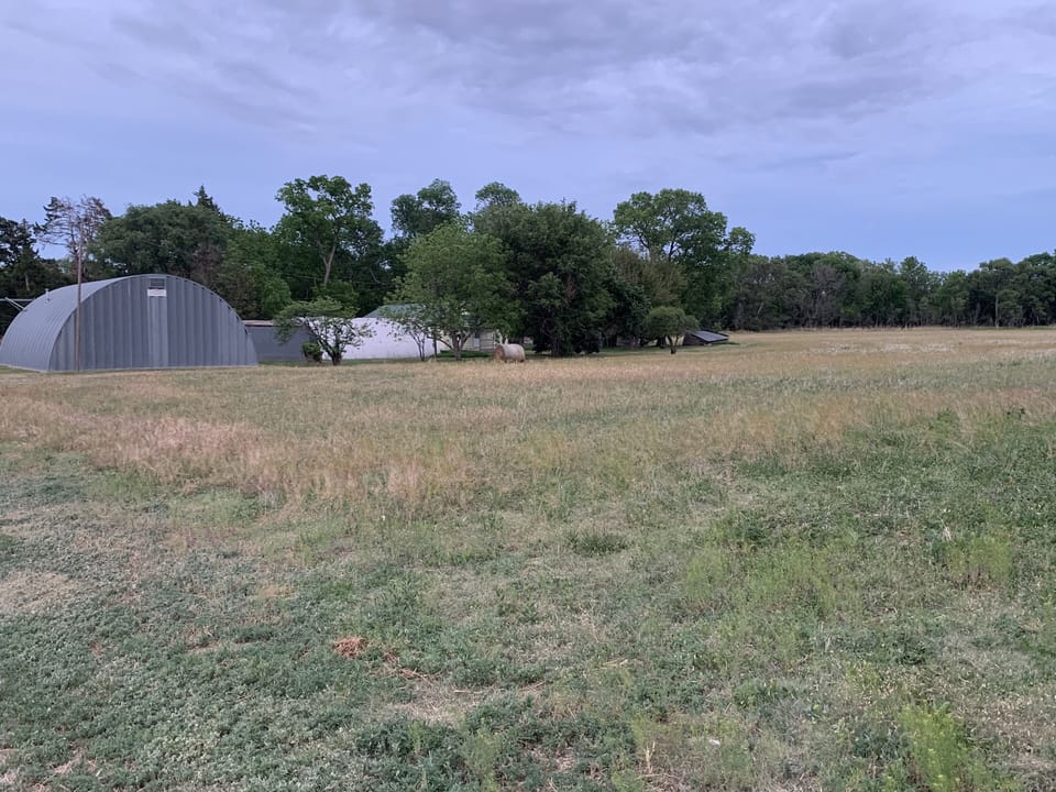 Field and Buildings Around the House