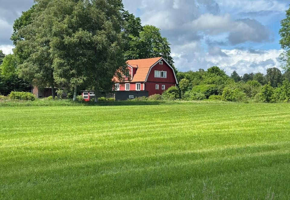 Image 17