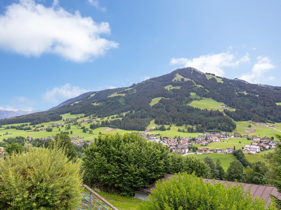 View from Holiday Home [summer]