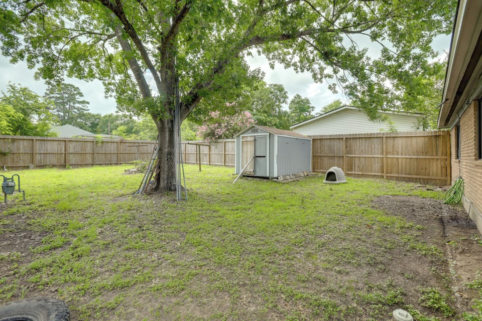 Backyard