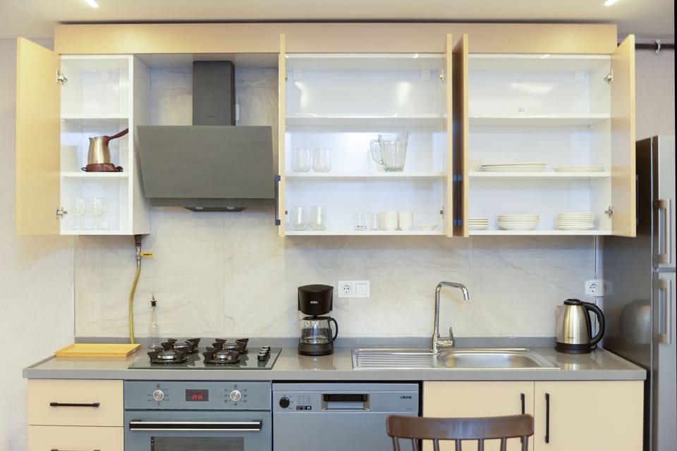 Deluxe Apartment | Private kitchen | Oven, dishwasher, cookware/dishes/utensils, cleaning supplies