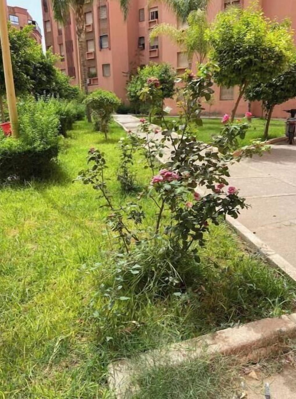 Property grounds