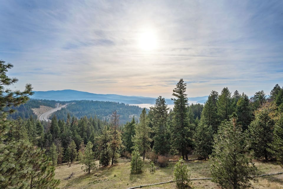 A panoramic forest landscape featuring dense evergreen trees, rolling hills, and mountain ridges under a bright sky, showcasing the natural beauty of the surrounding area.