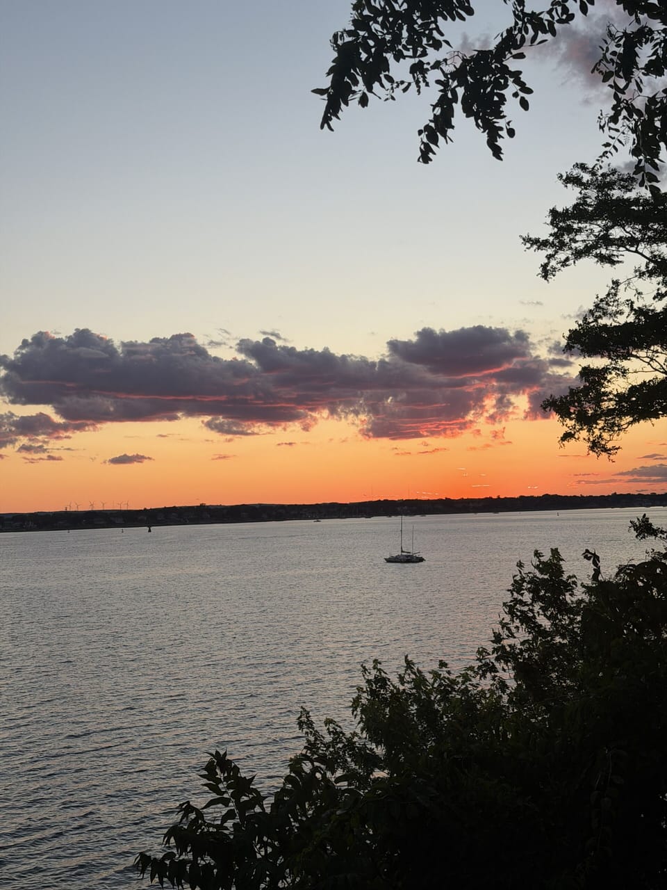 Peaceful waterfront sunset with sailboat views and a serene natural setting