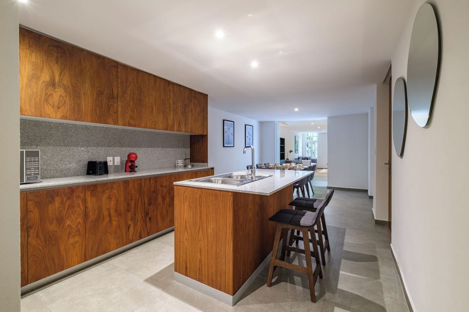 Basic Apartment | Private kitchen | Coffee/tea maker, full-size fridge, microwave, stovetop