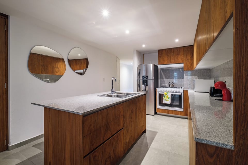 Basic Apartment | Private kitchen | Coffee/tea maker, full-size fridge, microwave, stovetop