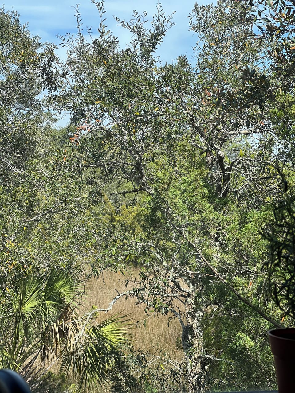 View from property