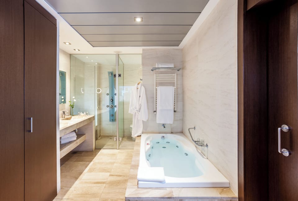 Bathtub, free toiletries, hair dryer, bidet