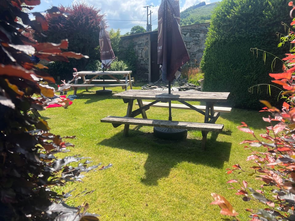 Beer garden behind Merrion cottage